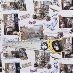 Tela Harry Potter Hogwarts | Telas Lobo