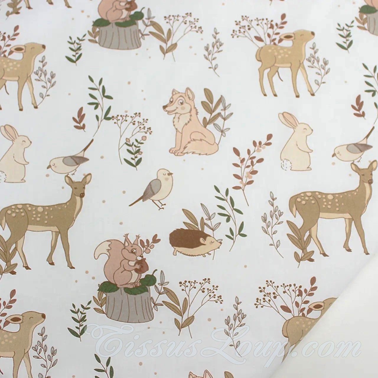 Tela Lobo y sus Amigos los Animales — 1