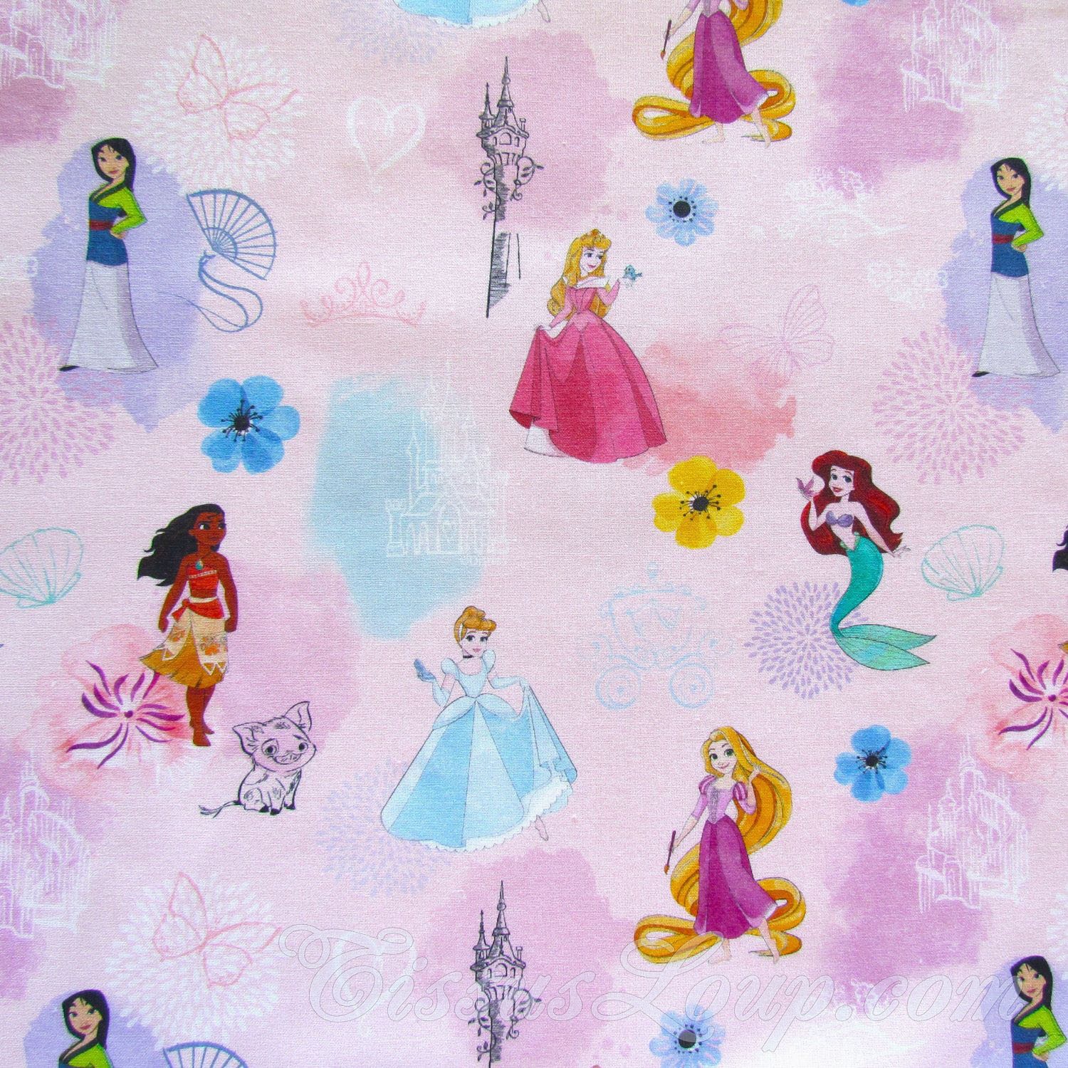 Tela de Princesas de Disney — 1