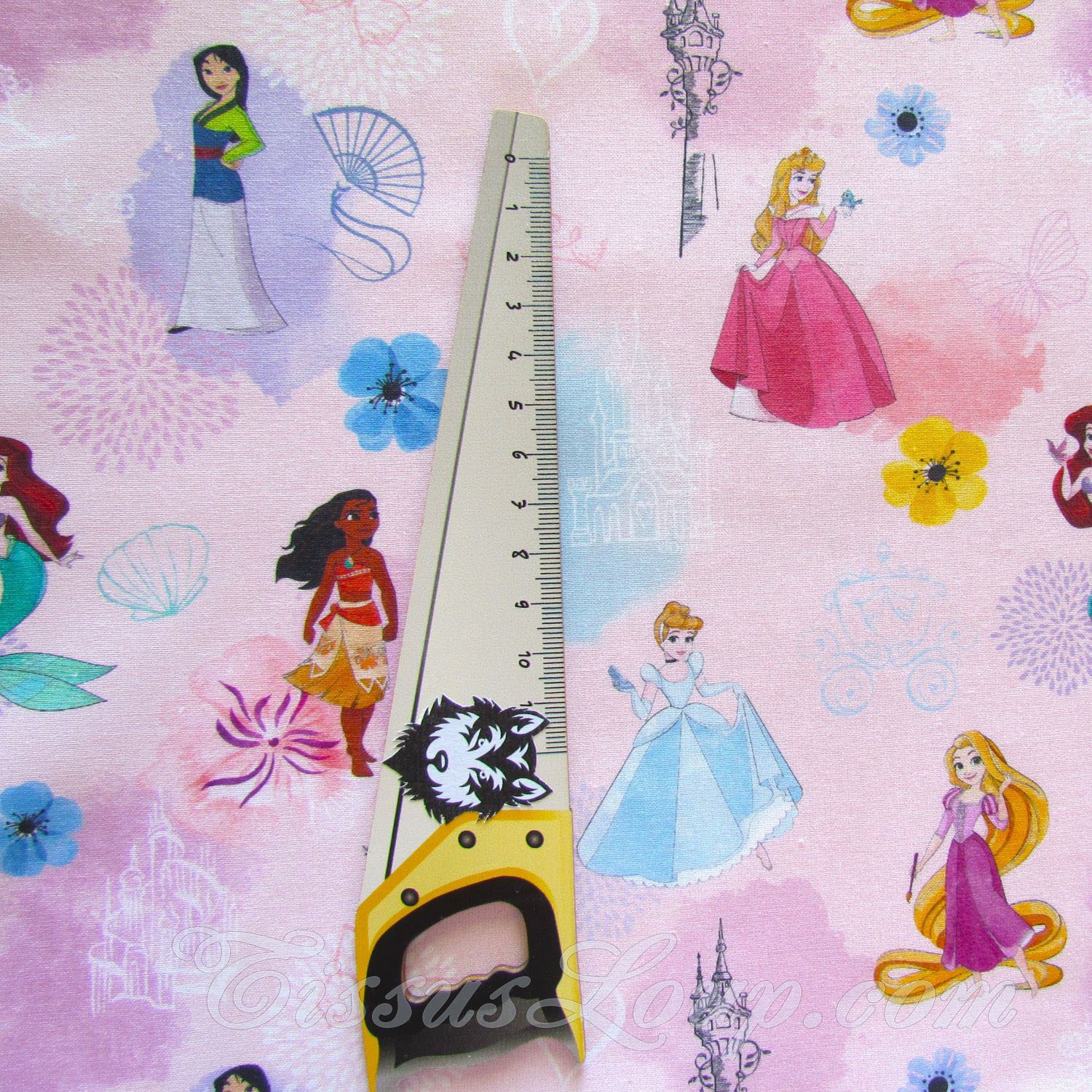 Tela de Princesas de Disney — 2